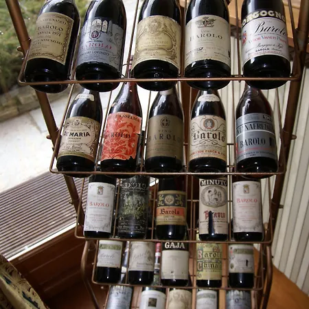 Londra Occitana Acceglio